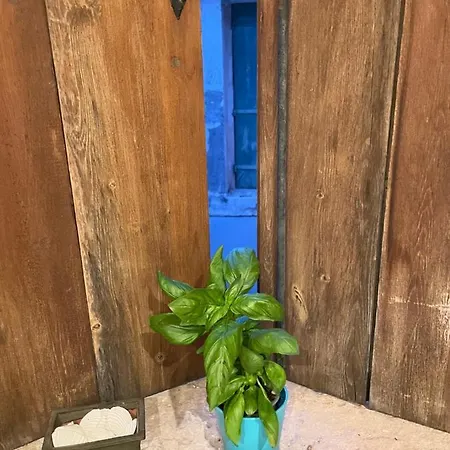 Apartment Solola